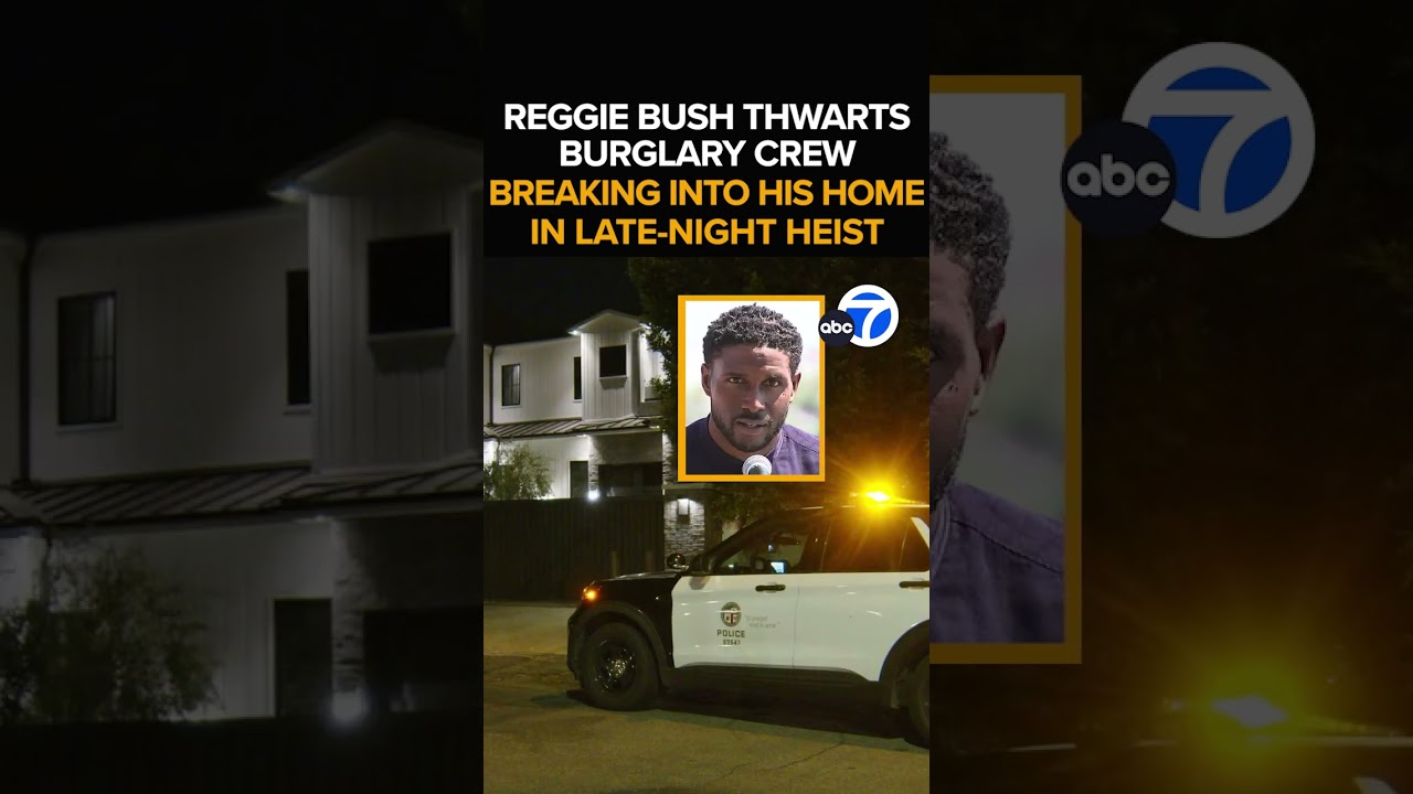 Reggie Bush scares off burglars during attempted break-in at his home