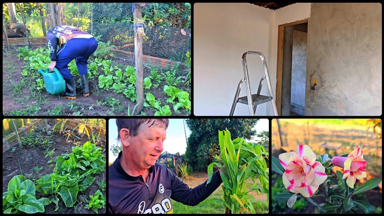 VLOG NA ROÇA 🥰 NOSSO DIA COMEÇOU BEM CEDO ☀️ #vidanaroça 