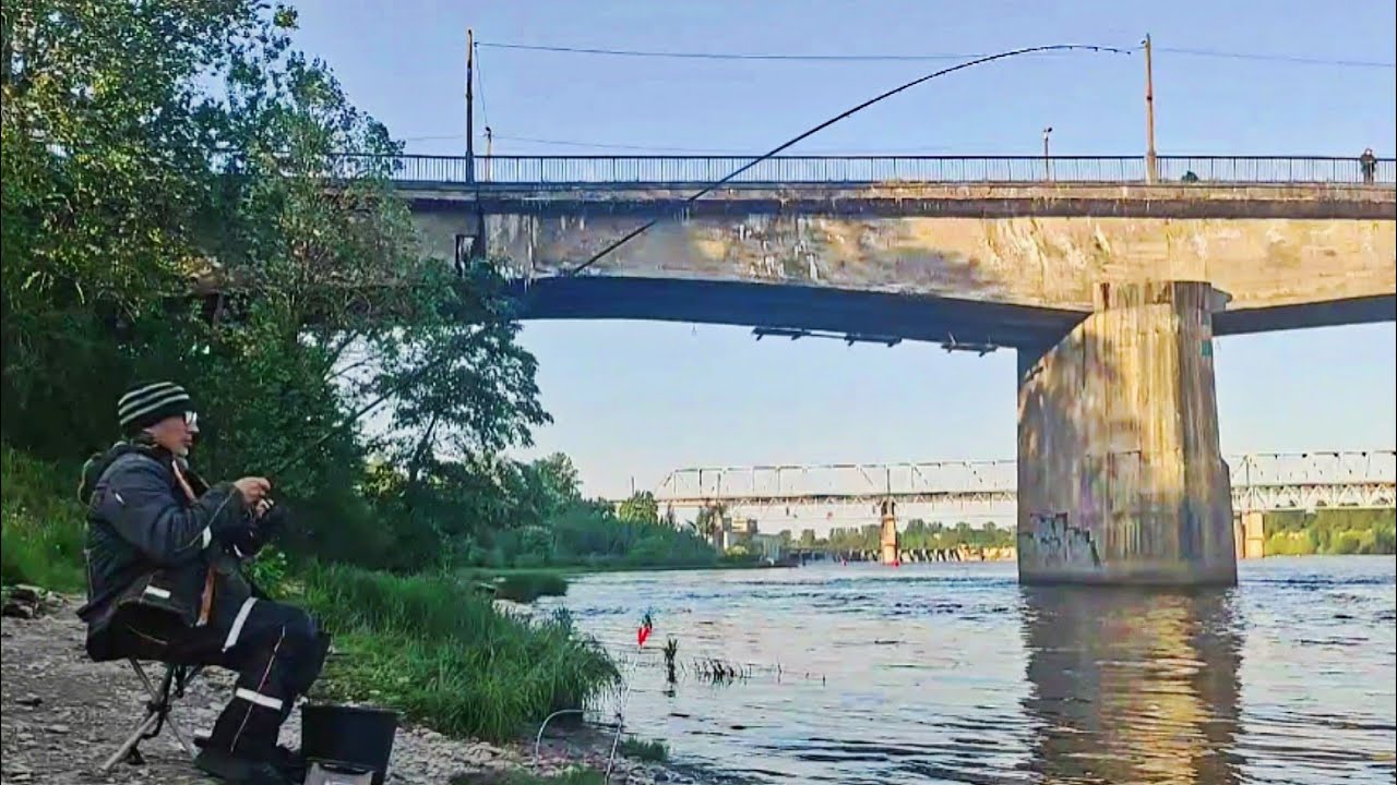 Пришел в ночь ,утром подошла Сырть.         Фидерная ловля на реке .