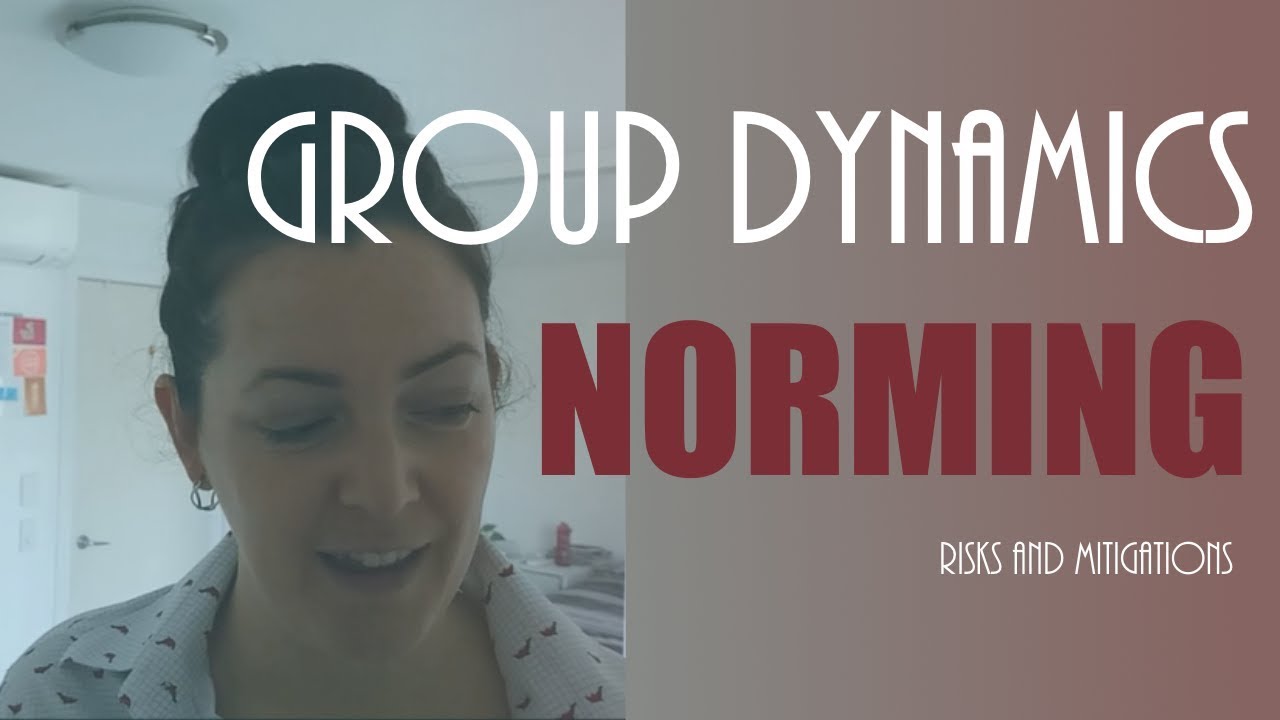 Group development - 3. Norming (Part 2): Risks and mitigations