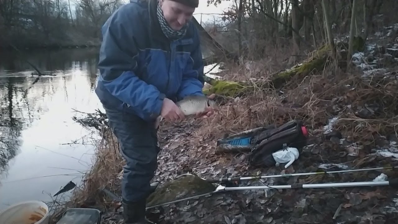 Рыбалка в Добротворе на зимний фидер. Ловля плотвы, карася, карпа. Зимняя рыбалка