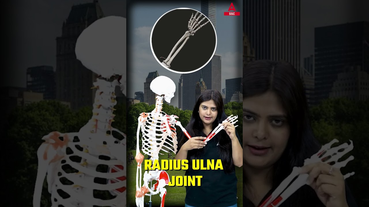 Hinge Joint क्या होती हैं? Skeleton System of Human Body 😎#skeletonsystem #sscadda247 #HingeJoint