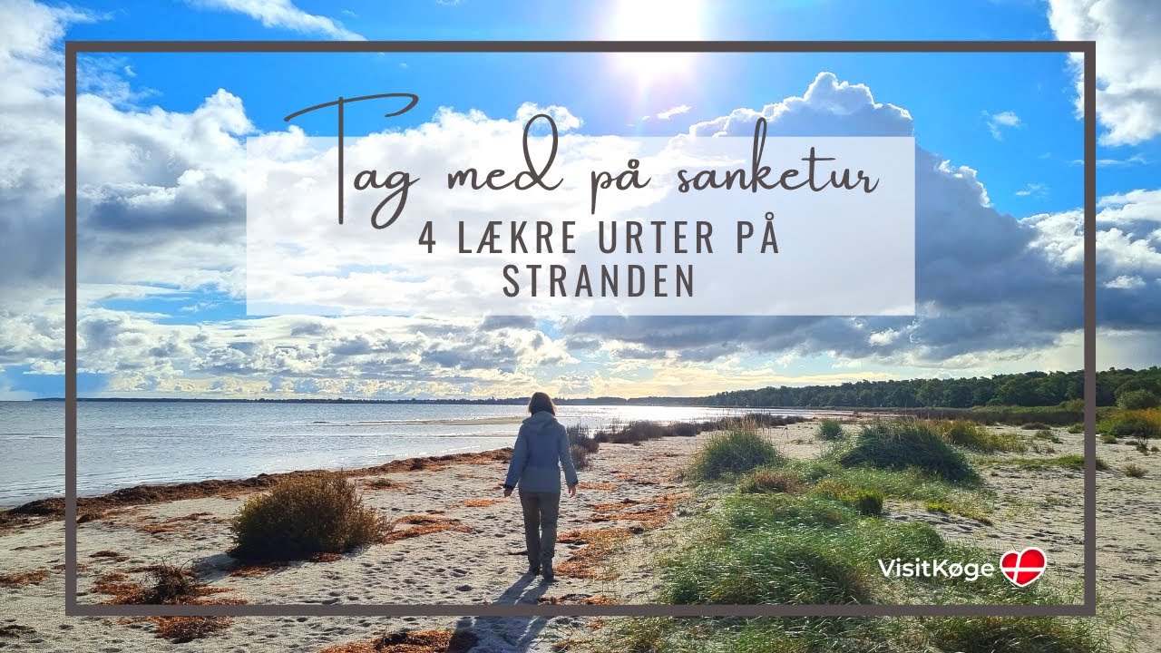 Sank ved Søndre Strand | Ferie i Danmark | Oplev Køge