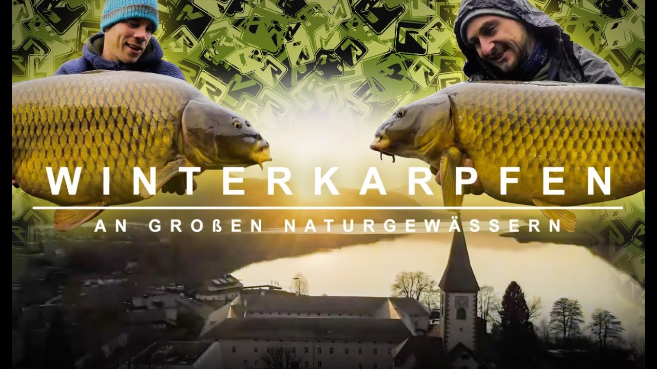Karpfenangeln - BIG FISH Alarm! Wie angelt ihr euch einen Winterkarpfen am großen Natursee?