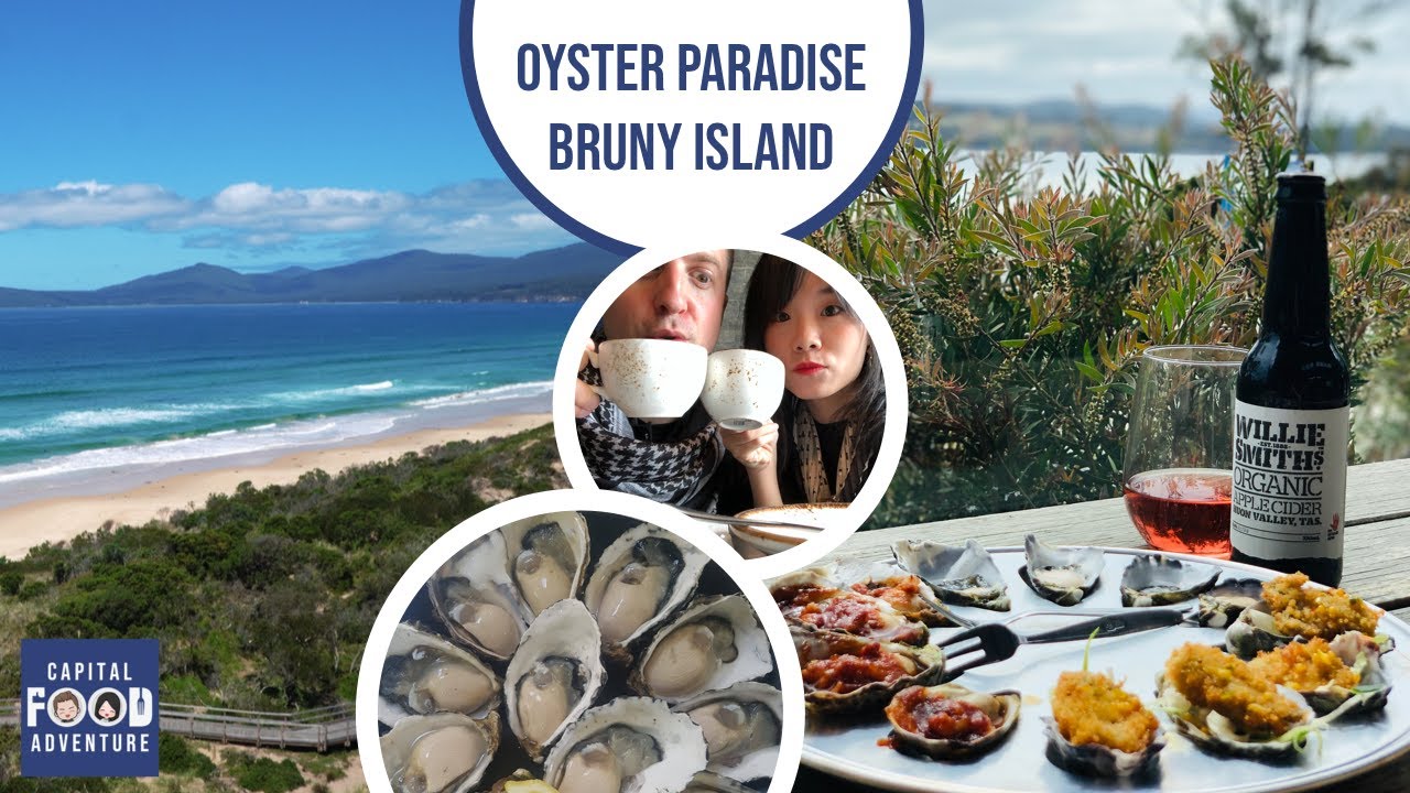 We try Shucked Oysters | Bruny Island | what to do in Tasmania | Australia&rsquo;s best Oysters