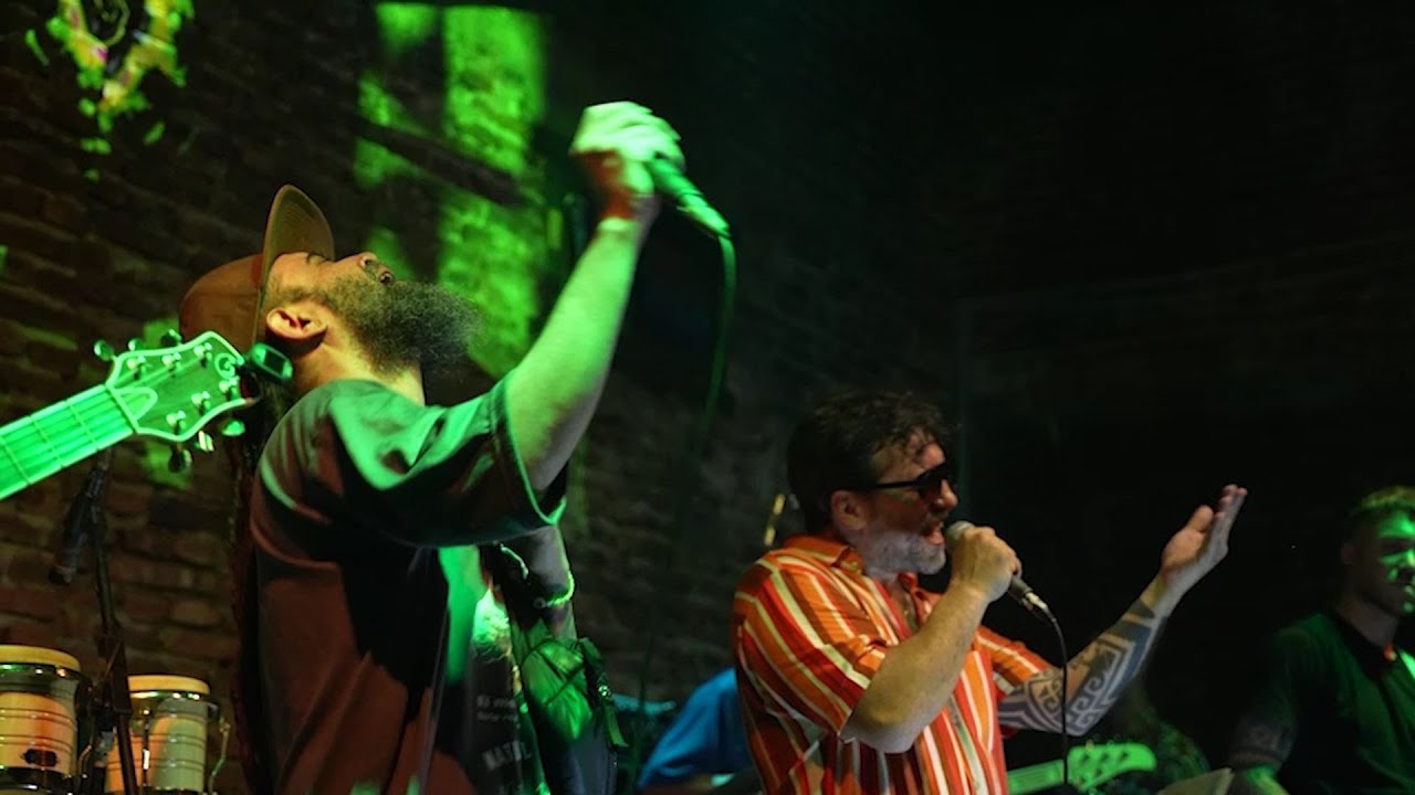 Dr. Regui e Inestables Androides - Verdadera ft. Gaspar OM - En Vivo