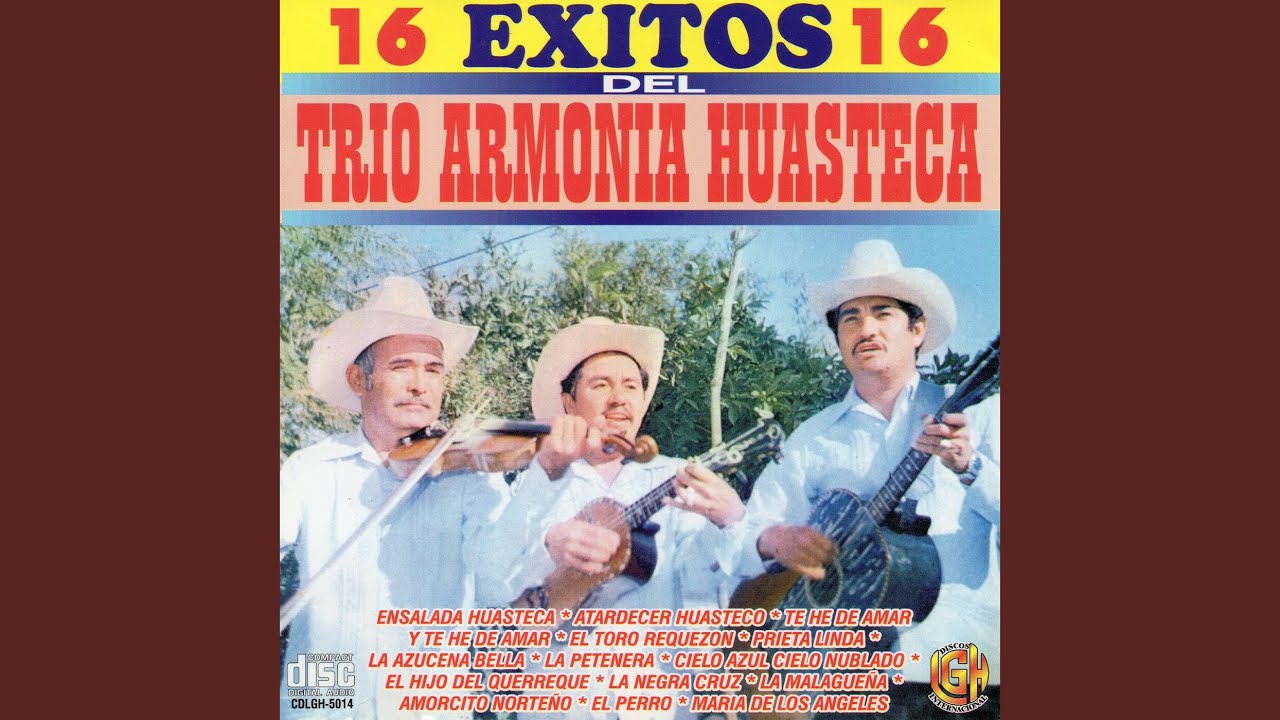 Te He De Amar Y Te He De Amar