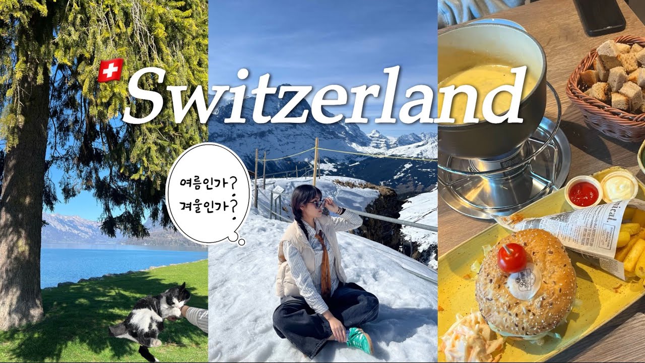 (🇩🇪독일교환학생 Vlog) 스위스여행🇨🇭 | 인터라켄 융프라우 | 피르스트 | 기차가 없다고요..?!😨 11시간 걸려서 집가기