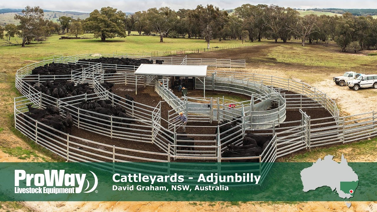 ProWay Cattleyards, Adjungbilly NSW