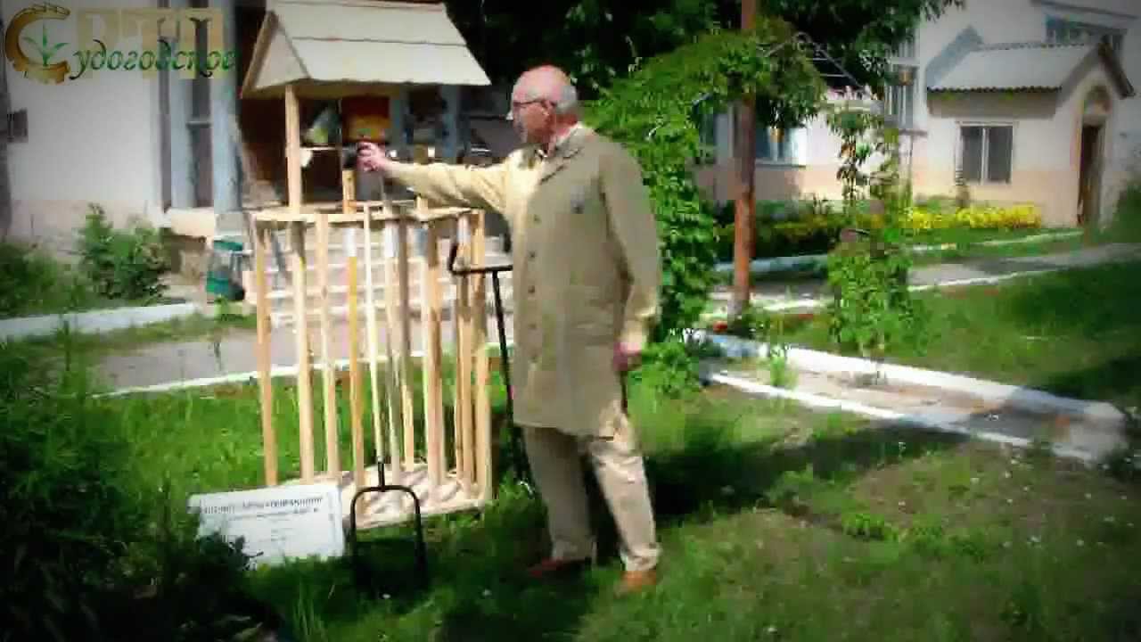 Судогодский плоскорез