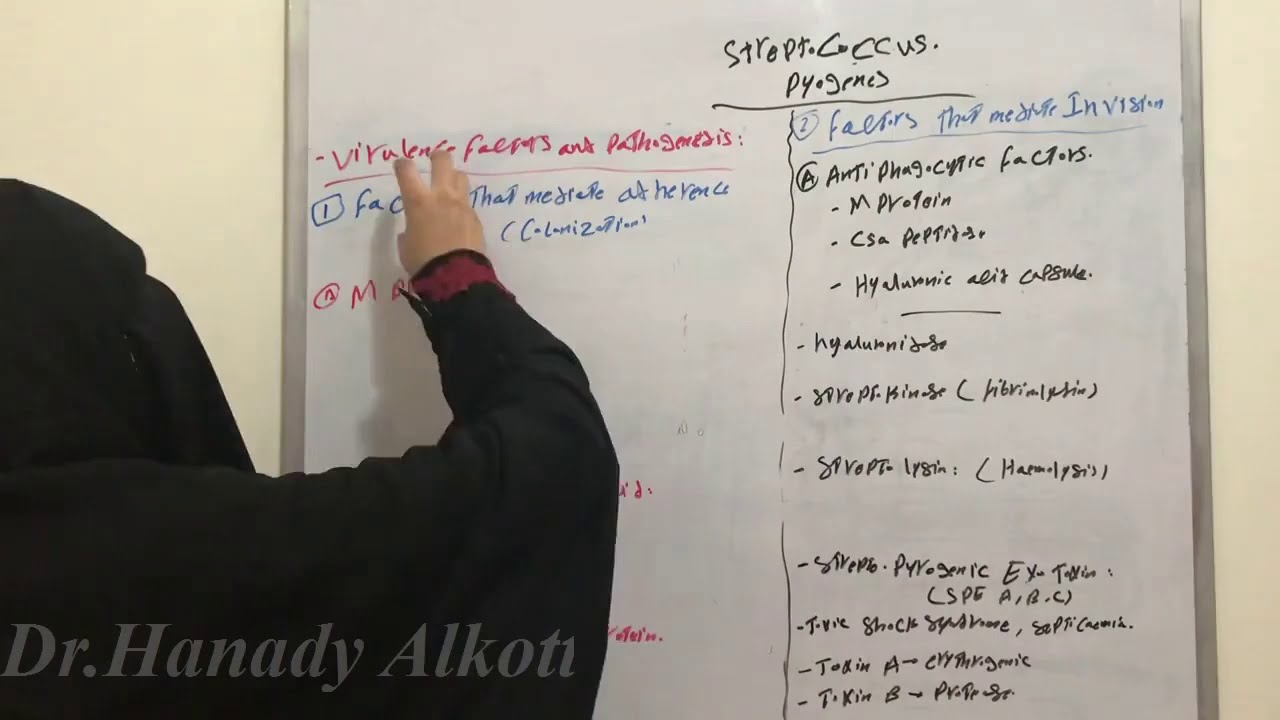 S.pyogenes, Virulence factors.