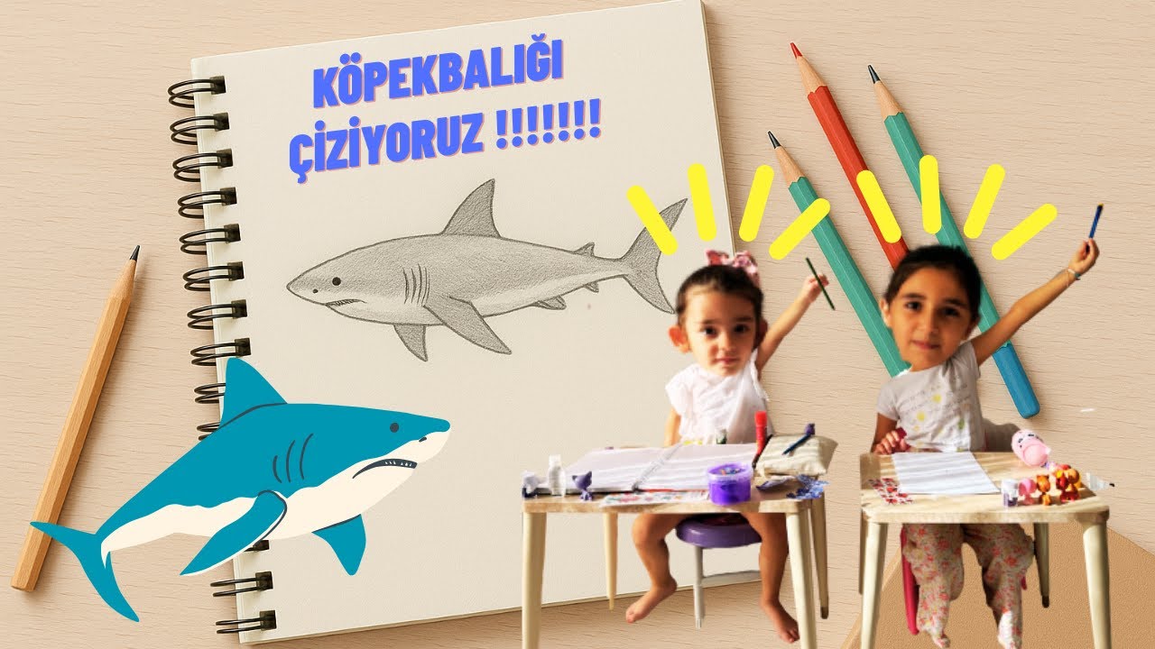 Köpek Balığı Çizimi Yarışı! Kim Kazanacak? 🦈