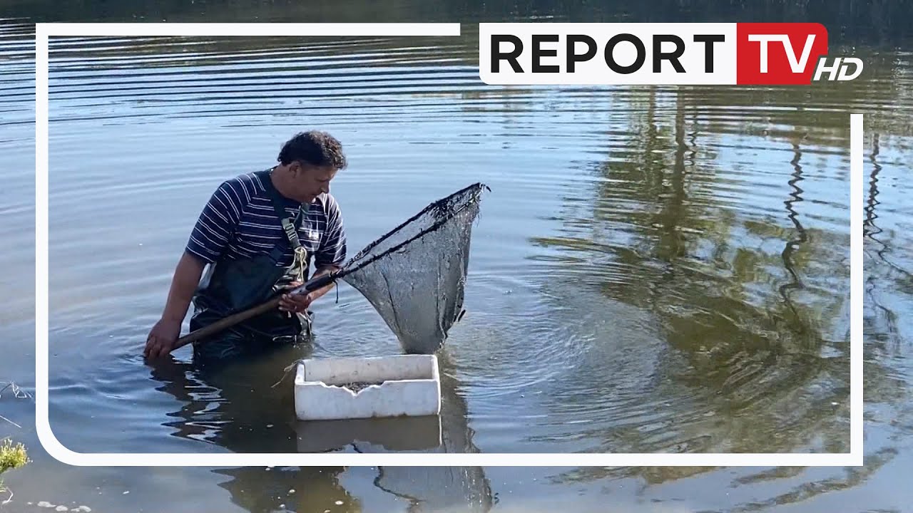 Report TV -  60-vjeçari në Lezhë një jetë në kërkim të ushqimit për gjuetinë e peshkut!