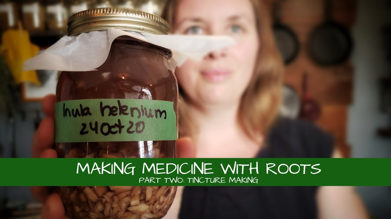 Medicine Making with Roots Part 2: Tinctures