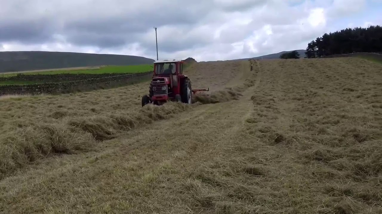 Raking silage Massey Ferguson 165 and khun