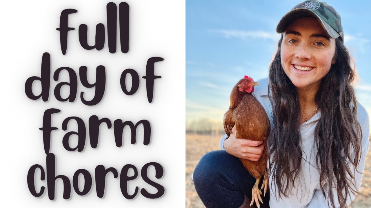 Day in the life at the farm | full day of farm chores