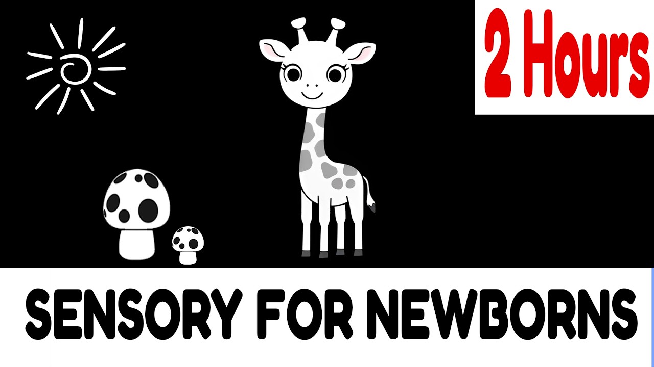 2 Hours Black & White Sensory Video for Newborns | #uk
