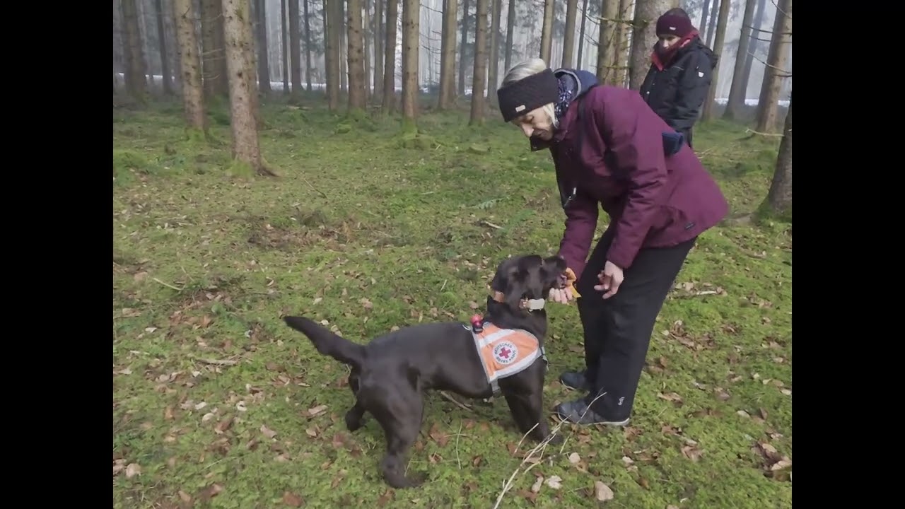 Jara im Rettungshundetraining