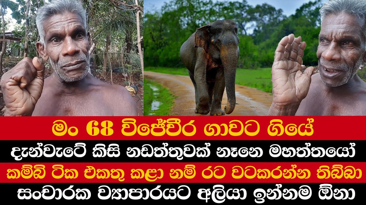 මං 68 විජේවීර ගාවට ගියේ | දැන්වැටේ කිසි නඩත්තුවක් නෑනෙ මහත්තයෝ | සංචාරක ව්‍යාපාරයට අලියා ඉන්නම ඕනා
