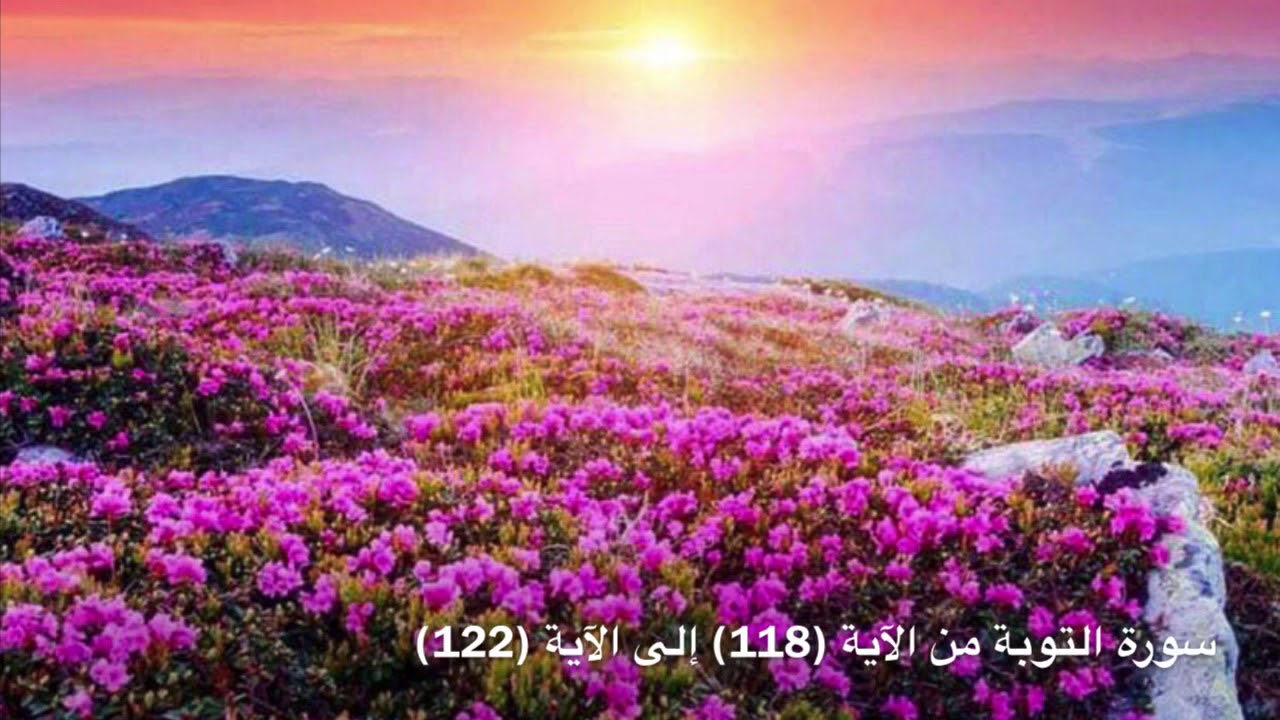 سورة التوبة من الآية (118) إلى الآية (122) مكررة ثلاث مرات - الشيخ ماهر المعيقلي