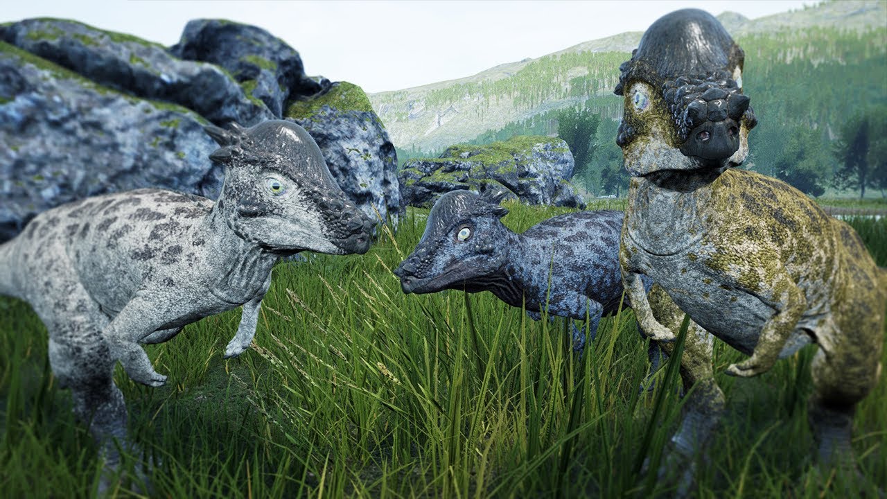 Nerds experience Pachys