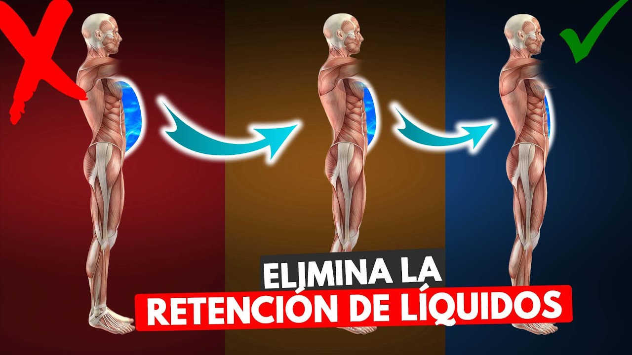 💦Cómo Eliminar la Retención de Líquidos (Nutrición, Suplementos, Hormonas)