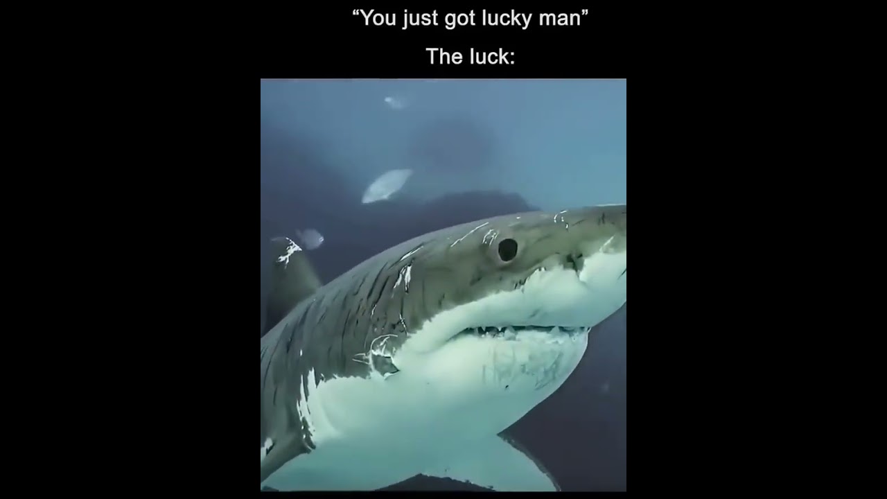 Officially Survived being a Homeless Combat Veteran in Georgia #marines #veteranlife #sigmamale