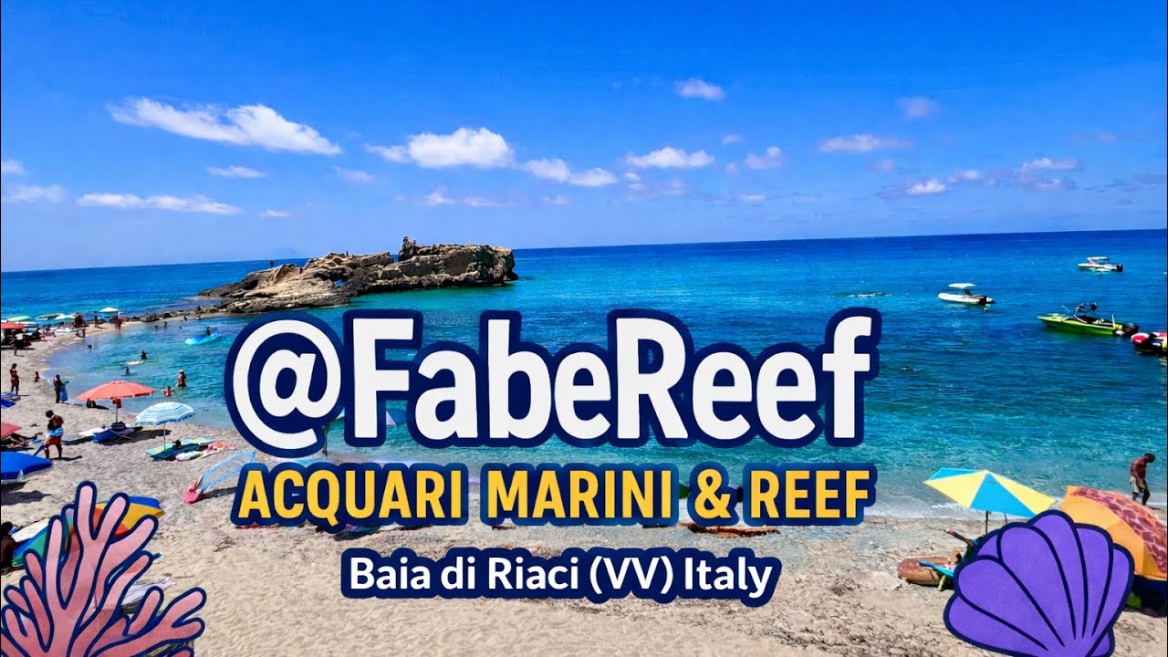 Alla scoperta dei fondali della Baia di Riaci (VV) Italy (Reef Tour)