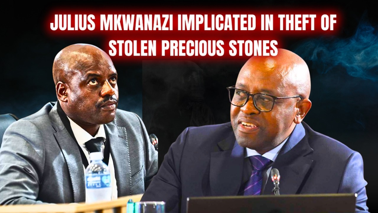 Brigadier Julius Mkwanazi Implicated in the THEFT of Precious Stones | Madlanga Commission