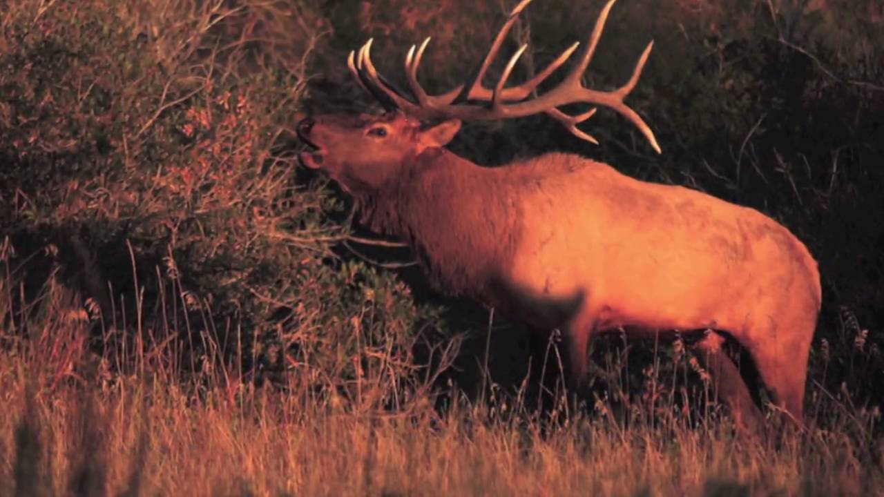 N BAR Ranch in Montana