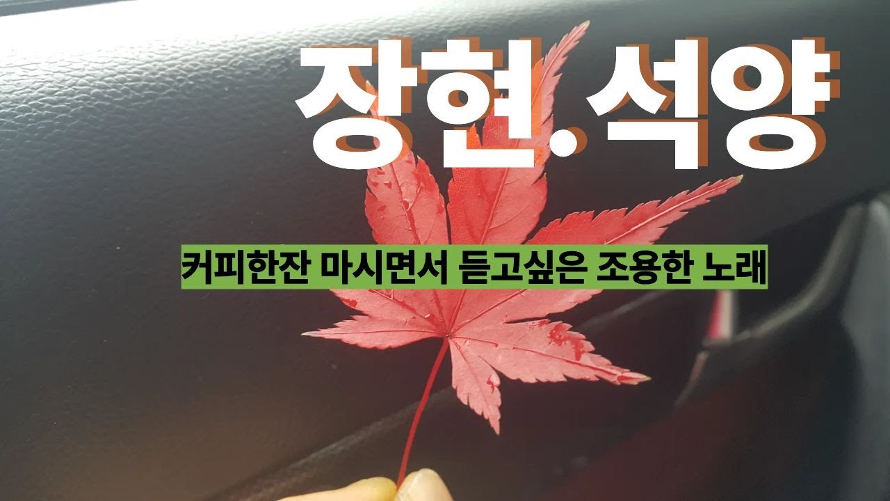 장현님~석양 가야할 사람이기에 안녕 안녕)