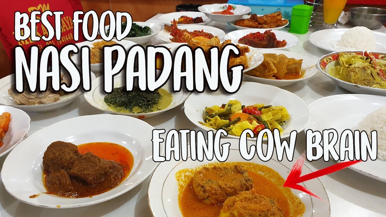 Nasi Padang the best Indonesian food (beef rendang, gulai otak & belut) ft. Boengkoesnetwork