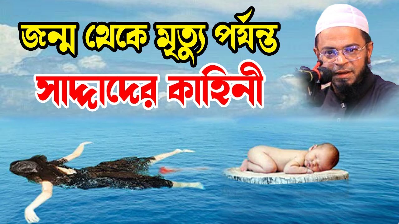 জন্ম থেকে মৃত্যু পর্যন্ত সাদ্দাদের কাহিনী | nasir uddin Ansari new waz| নাসির উদ্দিন আনসারী২০২৪