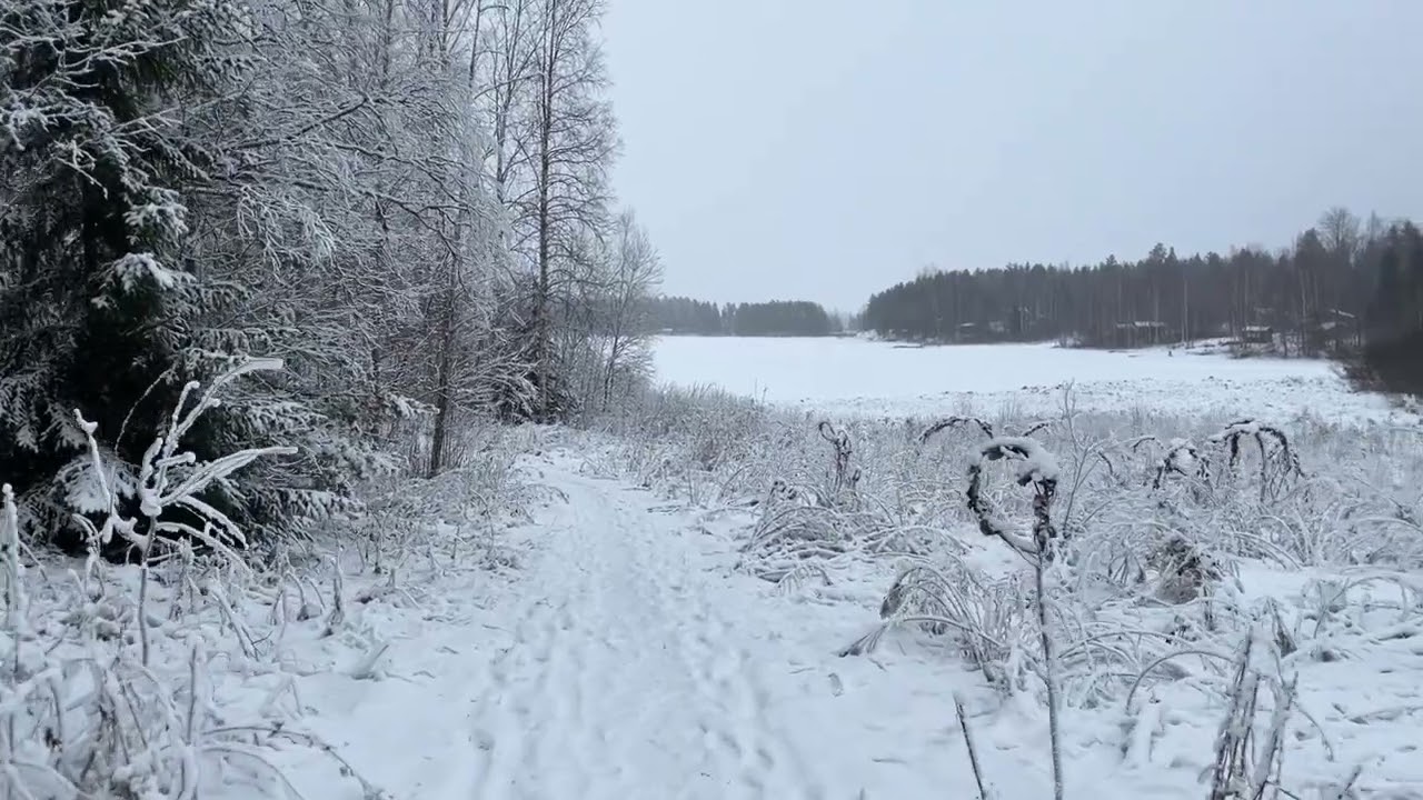 Walking SUNDAY 11.1.26. No talking just walking @slowTVFinland 
