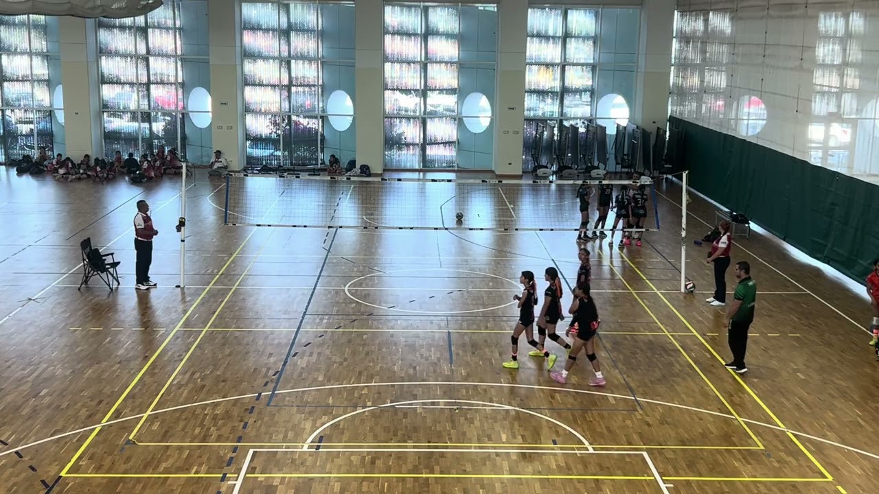 Delfines 13-14-15 vs Elite oro 1 set