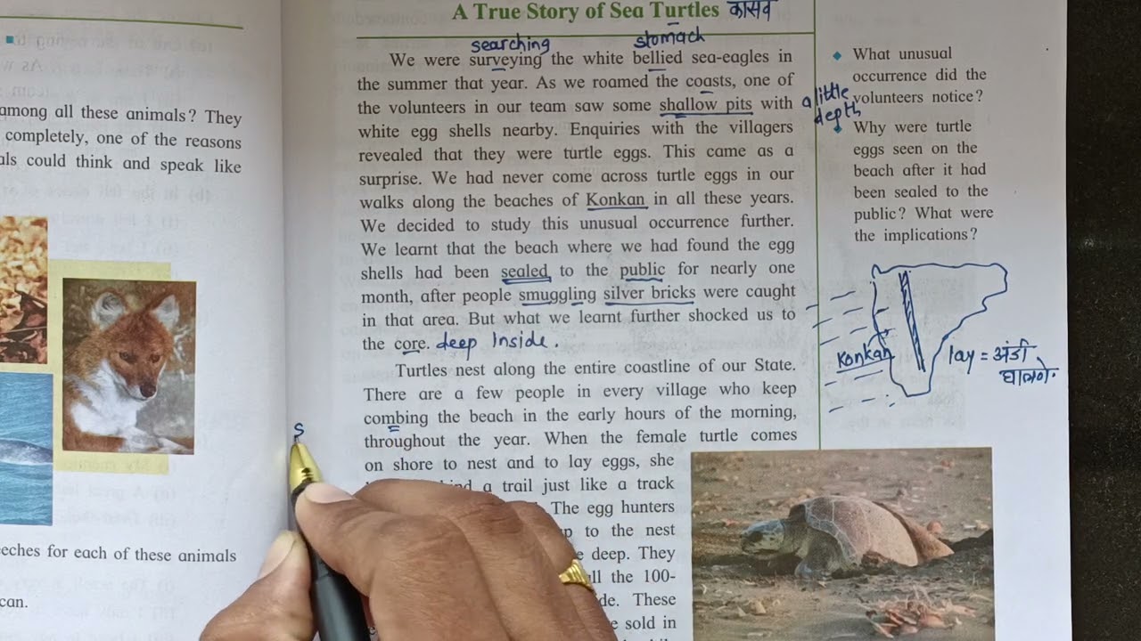 2.2 A True Story Of Sea Turtle | Std 9th | Full Explaination | Maharashtra State Board....