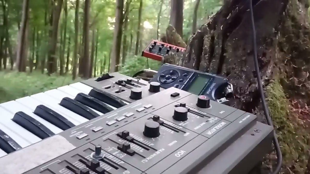Forest Drone - a HWJ Weekend Challenge for International Drone Day with 2 analog synths in the woods