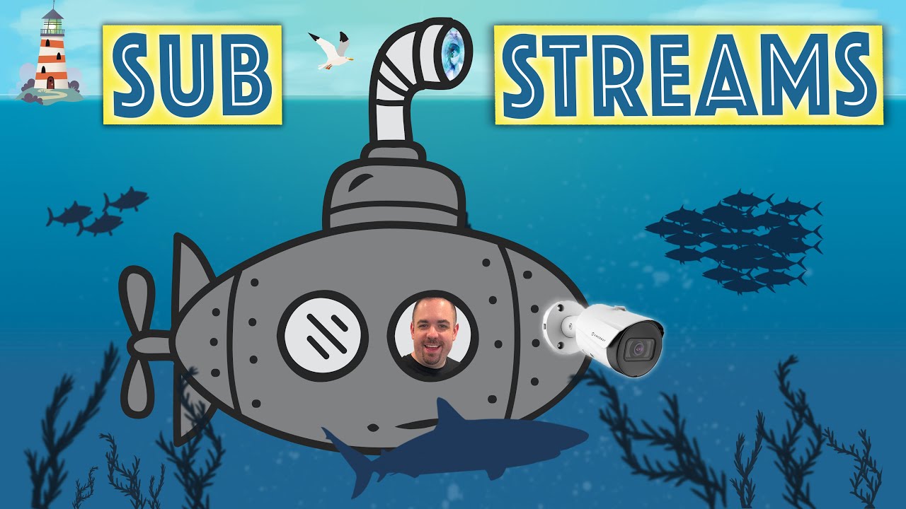 Do this! Use Sub Streams in Blue Iris