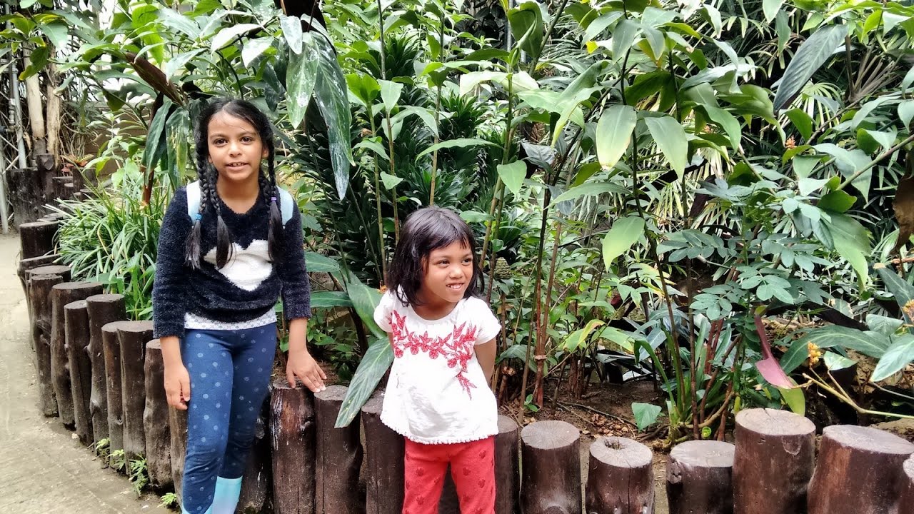Little Girls Fun Day Out at Tropical World Zoo | Kids Family Day Out VLOG Tour