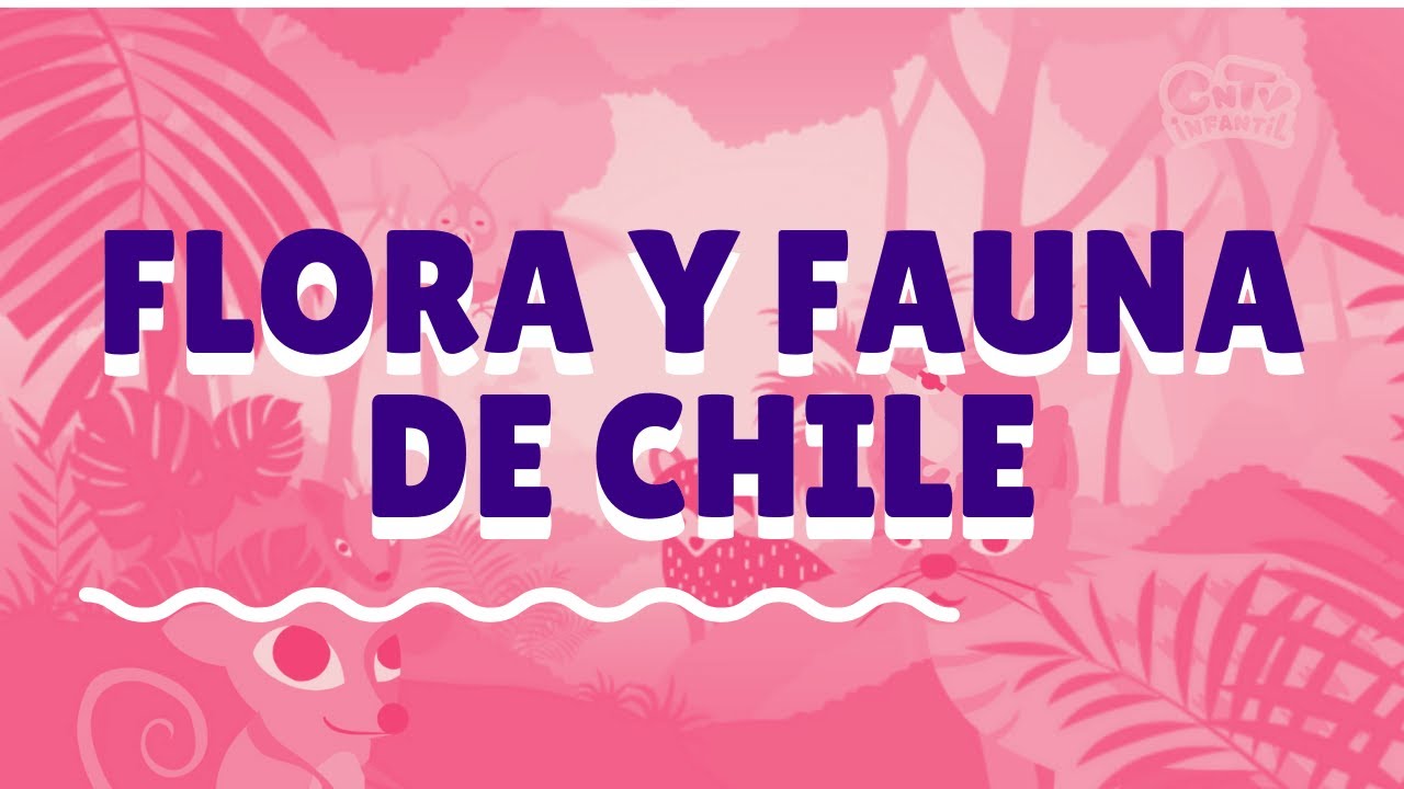 Flora y Fauna de Chile