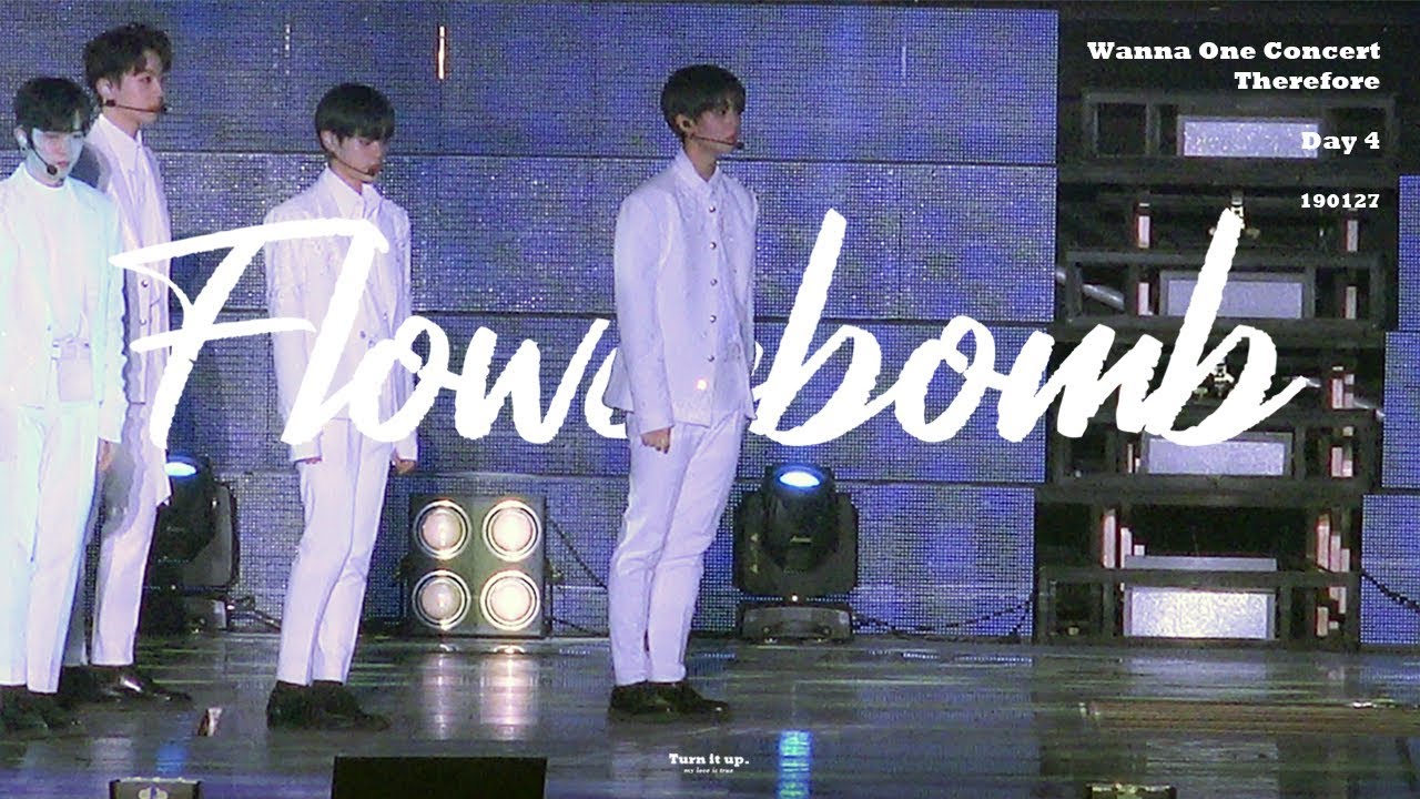 190127 Wanna One Concert Therefore  Day 4  - 불꽃놀이 (Flowerbomb) 🎇🎆  [Baejinyoung focus]