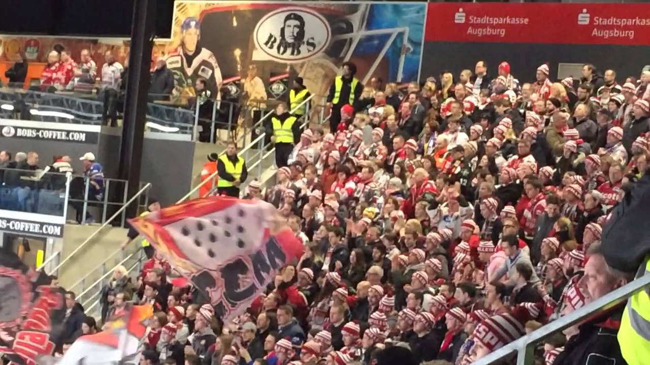 Augsburger Panther - Kölner Haie 31.01.2016 // Einlauf und Anfang des Spiels