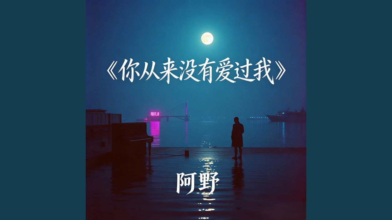你从来没有爱过我 (抒情男声版)