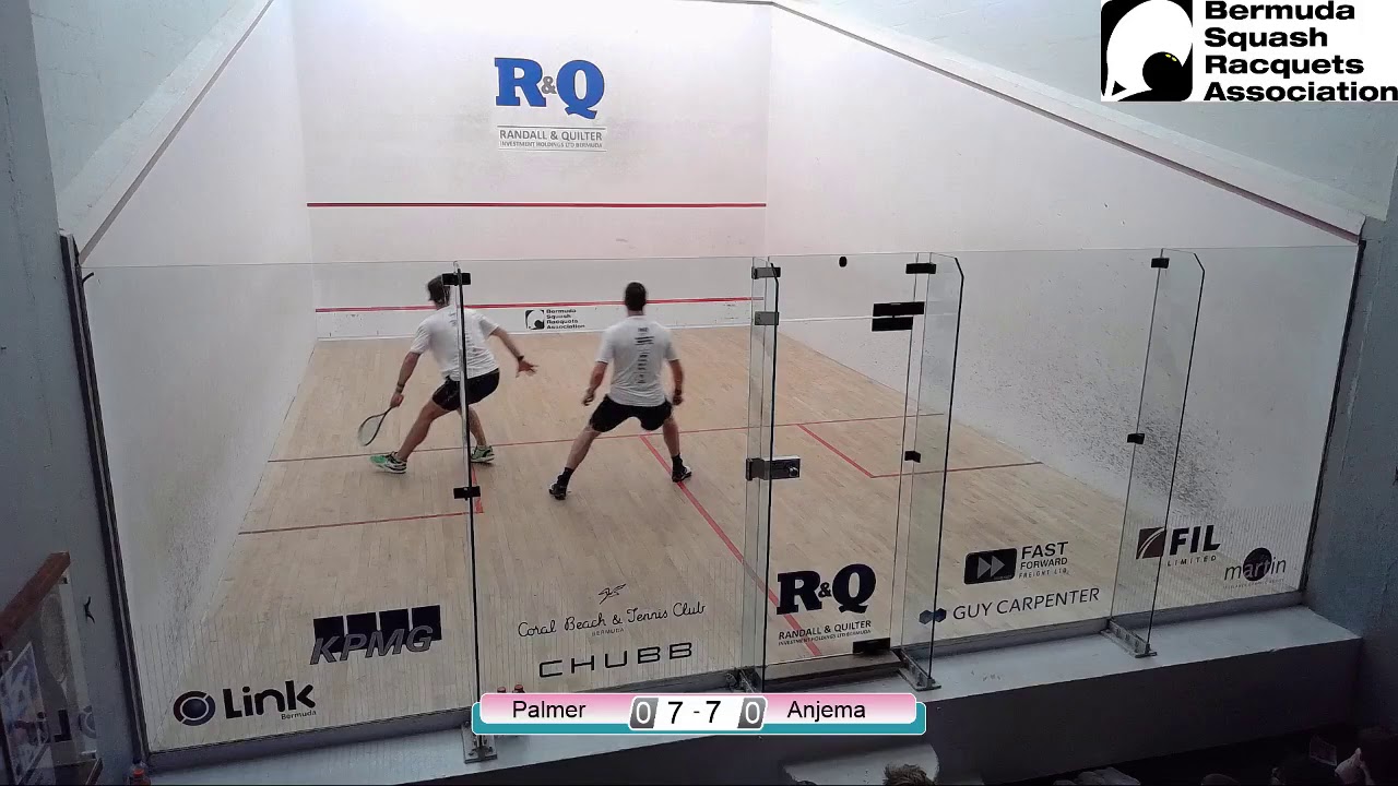 David Palmer vs Laurens Jan Anjema - Finals