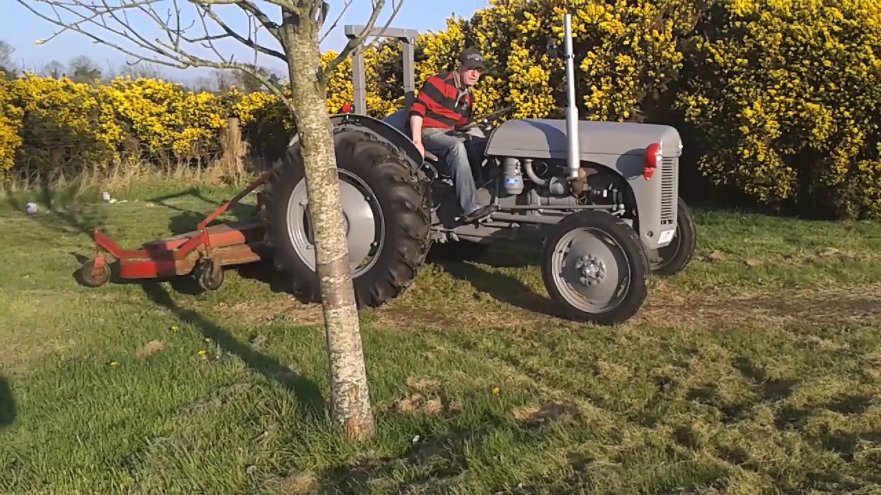 Ferguson tef 20 Mowing Grass
