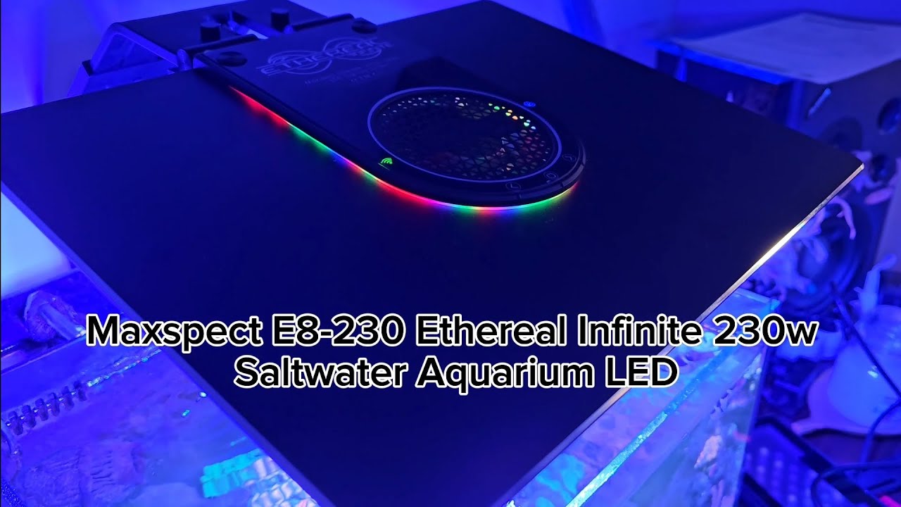 Maxspect E8-230 Ethereal Infinite 230w W Polsce 🇵🇱🇵🇱🇵🇱 🙉🙉🙉 / Akwarystyka morska @Maxspect