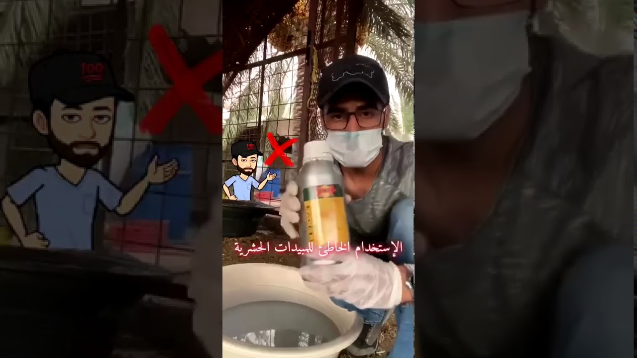 الإستخدام الخاطئ للمبيدات الحشرية على الحيوانات:-