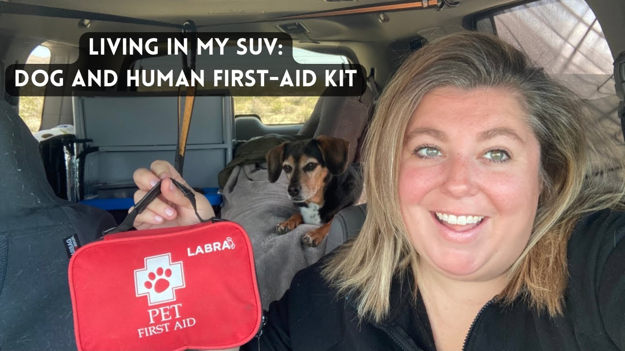 what&rsquo;s in my dog (and human) first-aid kit | living in my suv and traveling full-time