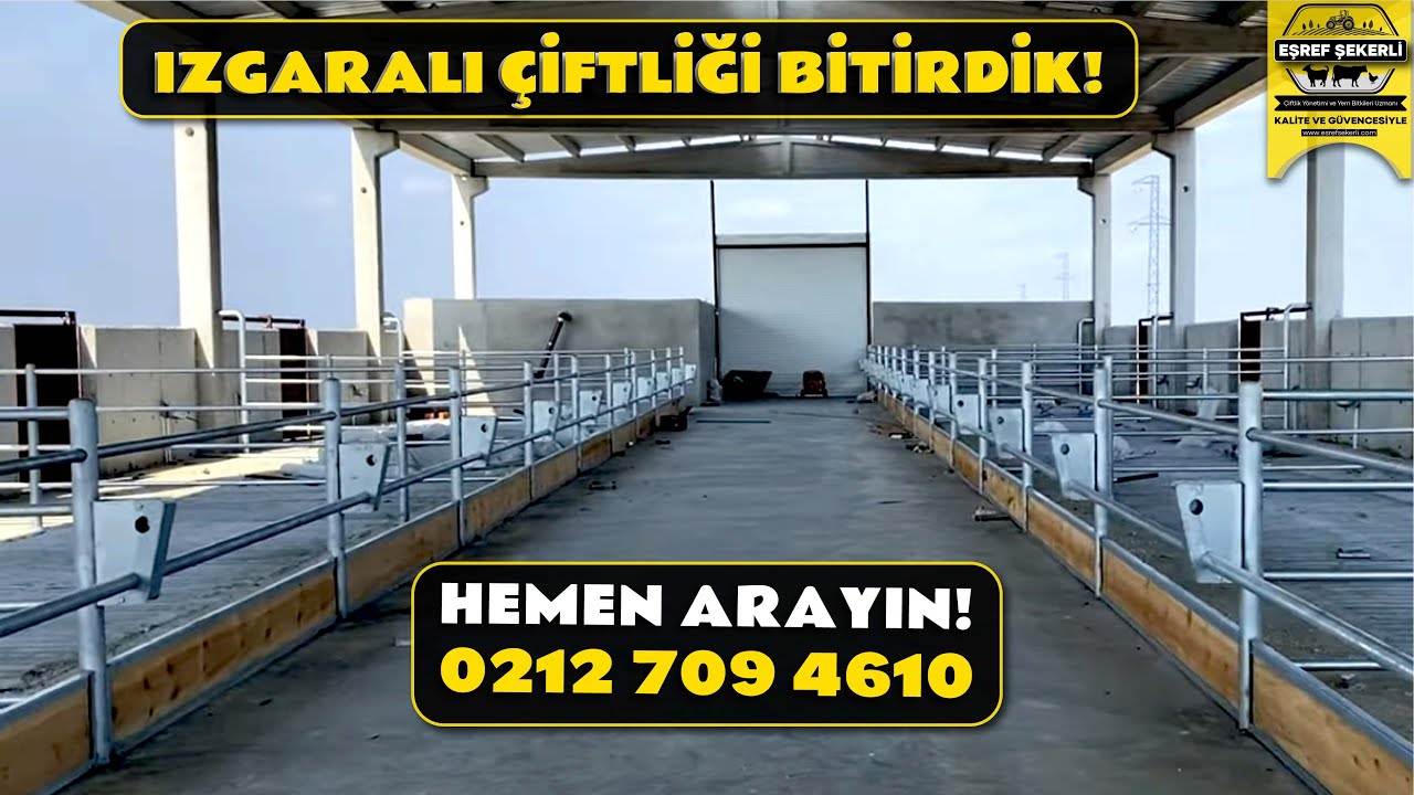 Tekirdağ / Saray - Izgaralı &Ccedil;iftlik Bitti!