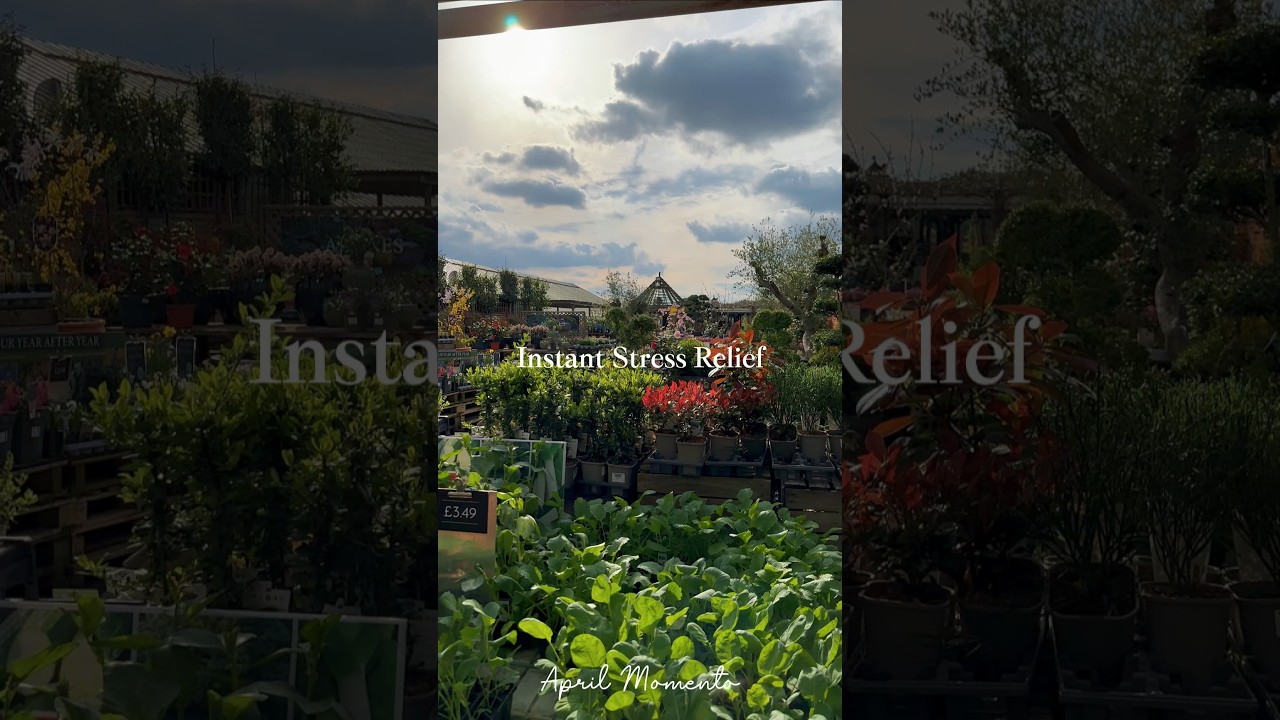 Relaxing Garden Centre Visit  | Healing with Plants & Greenery